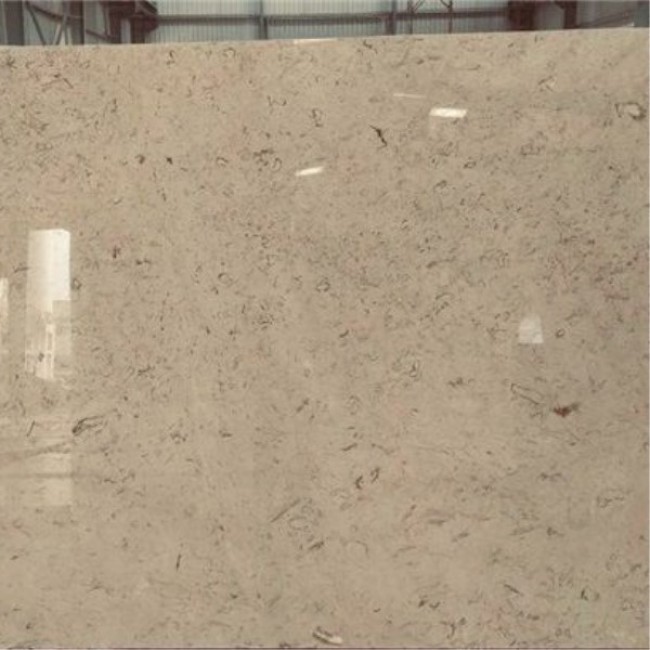 Fossil  beige marble
